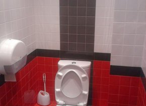 Ремонт туалета в Пскове