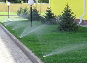 Автоматические системы полива в Пскове